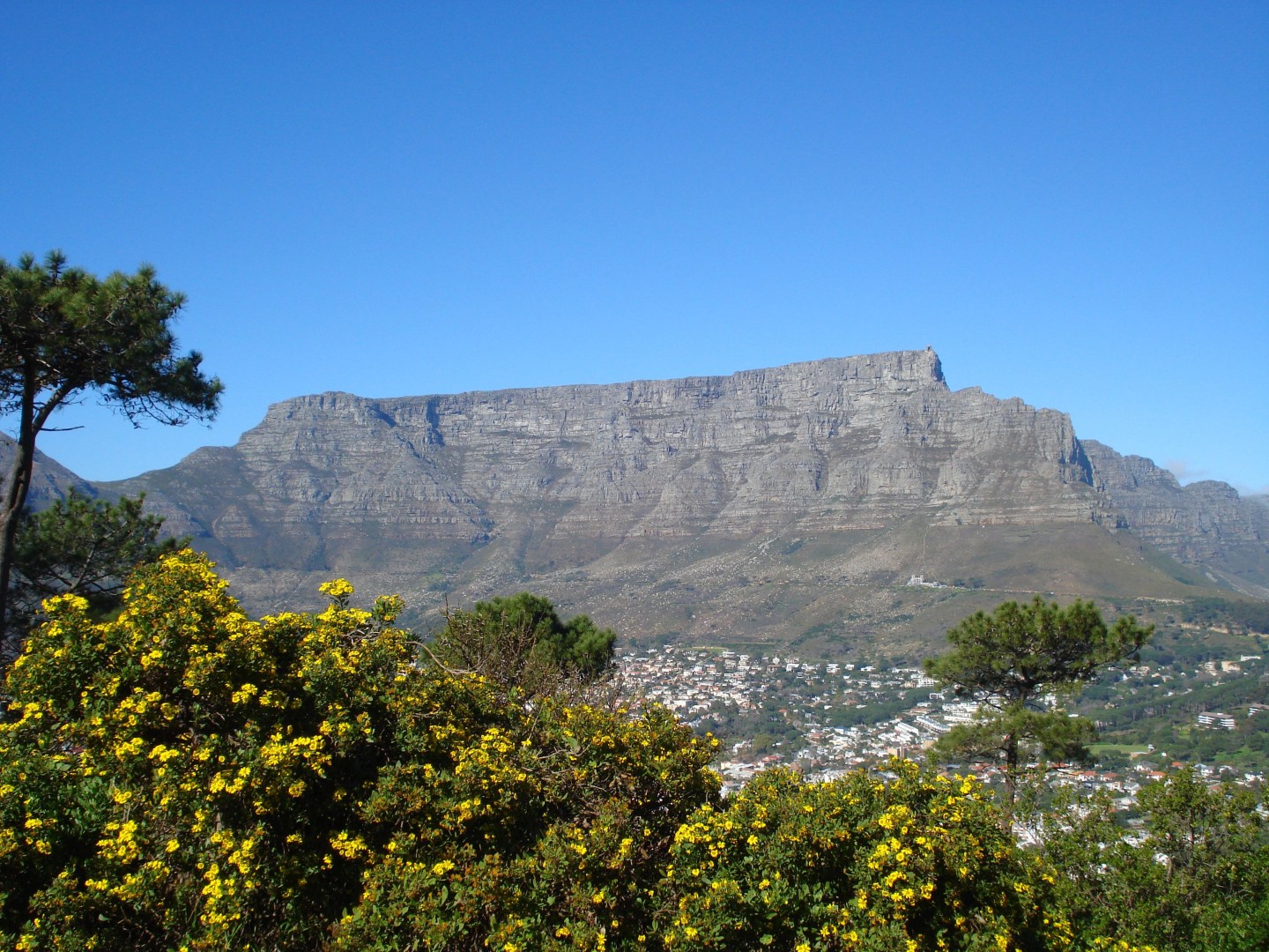 Table Mountain cycling tour Cape Town