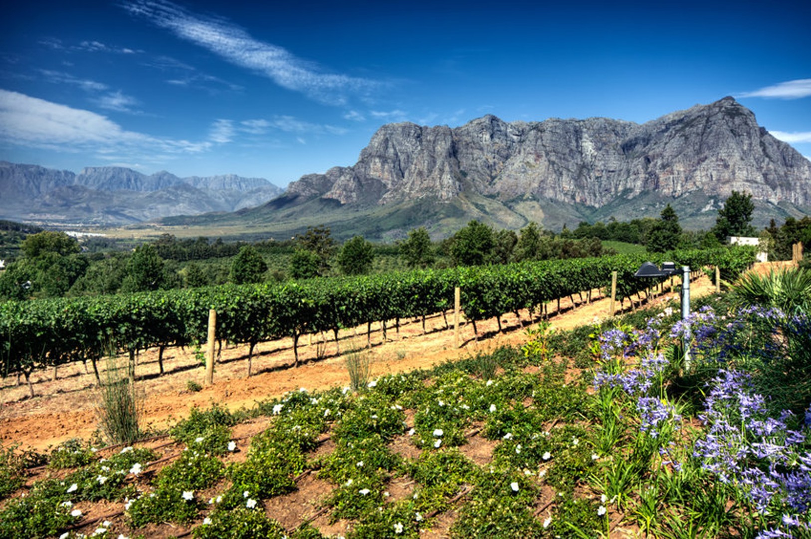 Jonkershoek Nature Reserve Stellenbosch cycling