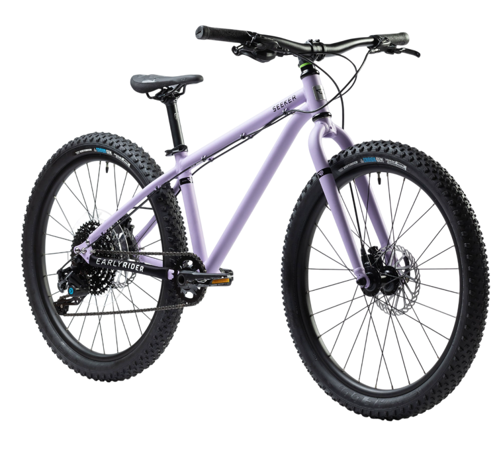 E-bike rental Cape Town modern